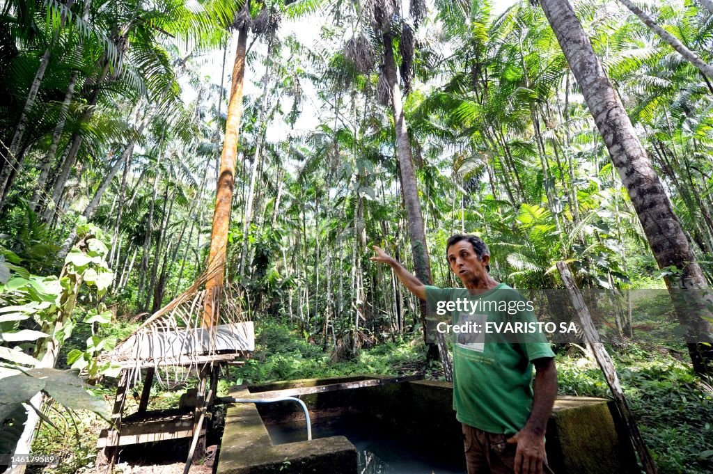 BRAZIL-RIO20-ENVIRONMENT-REFORESTATION