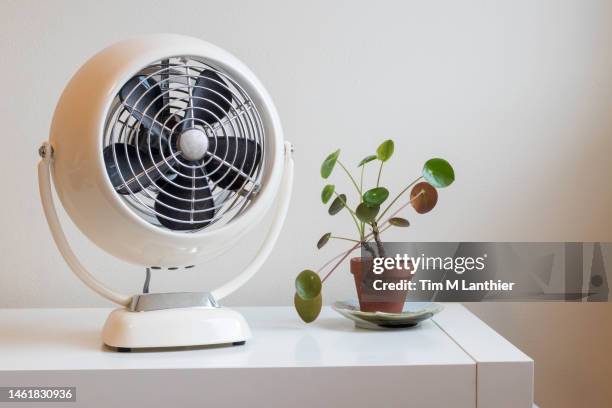 vintage fan and small plant against plain background - ventilatore foto e immagini stock