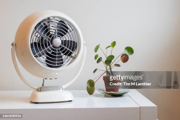 vintage fan and small plant against plain background - electric fan ストックフォトと画像