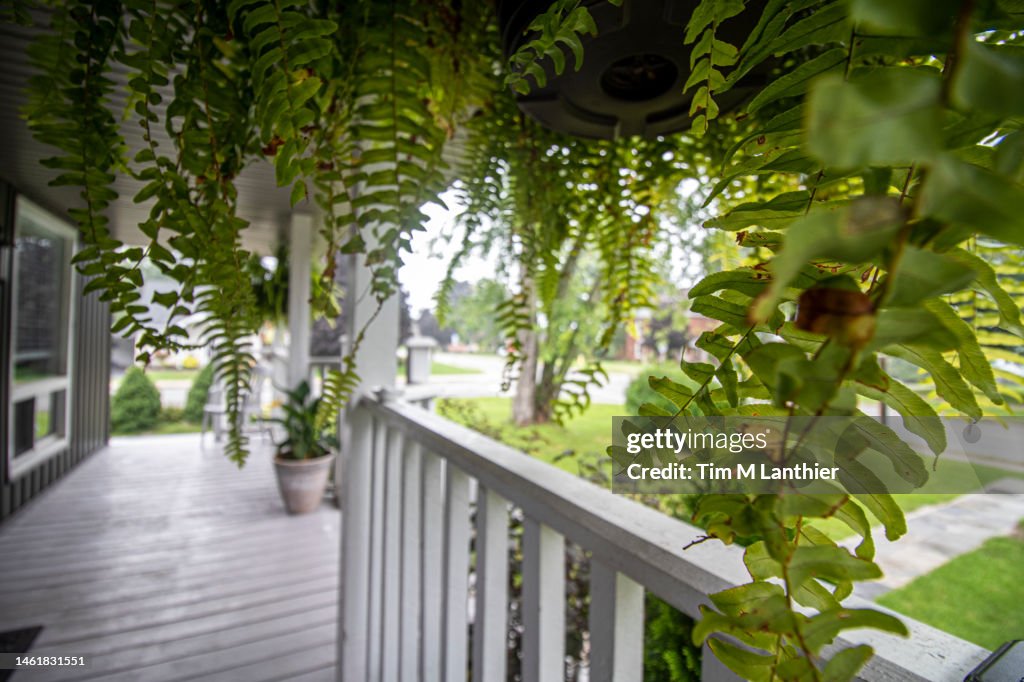 Front porch, ferns and summer