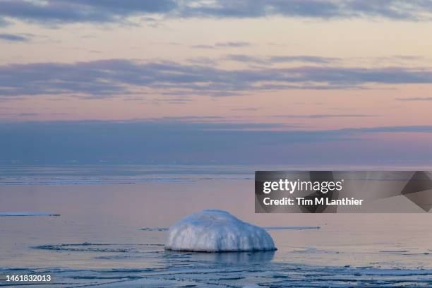 partially frozen lake in winter with pastel pink sky - ヒューロン湖 ストックフォトと画像