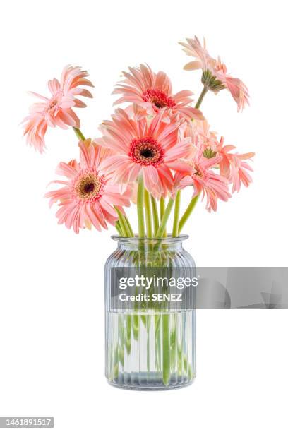 sunflowers in vase - flowers on white stock pictures, royalty-free photos & images