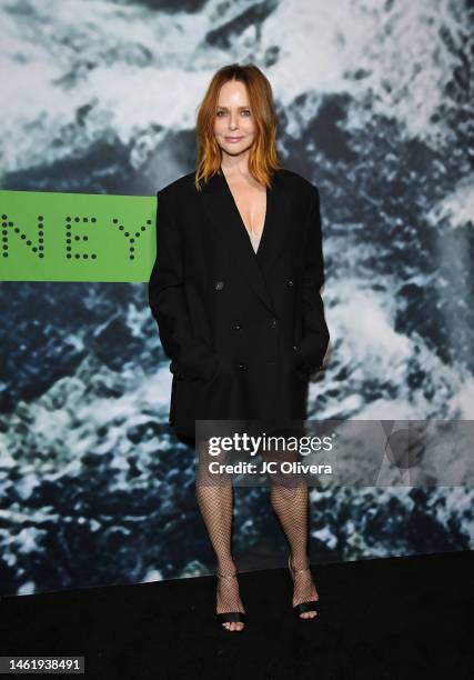 Stella McCartney attends Stella McCartney X Adidas Party at Henson Recording Studio on February 02, 2023 in Los Angeles, California.