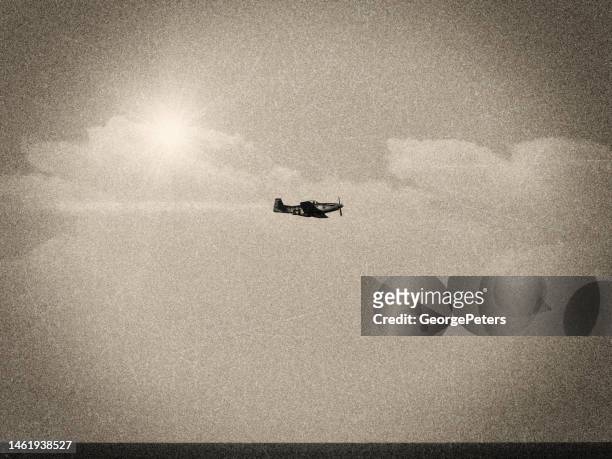 aereo da combattimento p-51 mustang della seconda guerra mondiale - wwii fighter plane foto e immagini stock