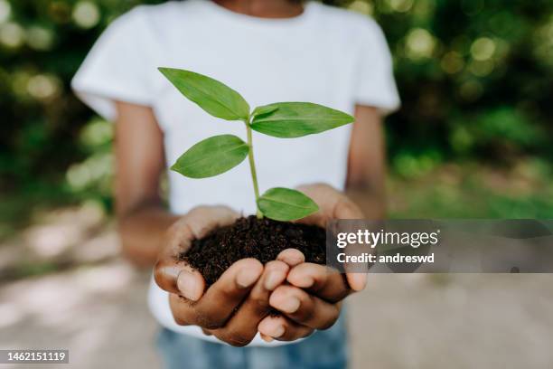 enfant plantant un arbre en se tenant avec les mains - action climatique photos et images de collection