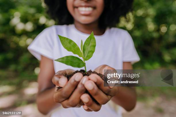 prevenir el calentamiento global, niña plantando un pequeño árbol - environmental issues fotografías e imágenes de stock