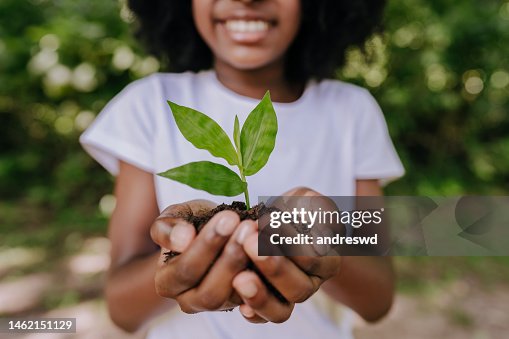 Prevent global warming, girl planting a small tree