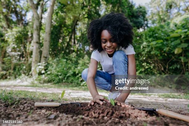 kind pflanzt einen jungen baum - nur mädchen stock-fotos und bilder