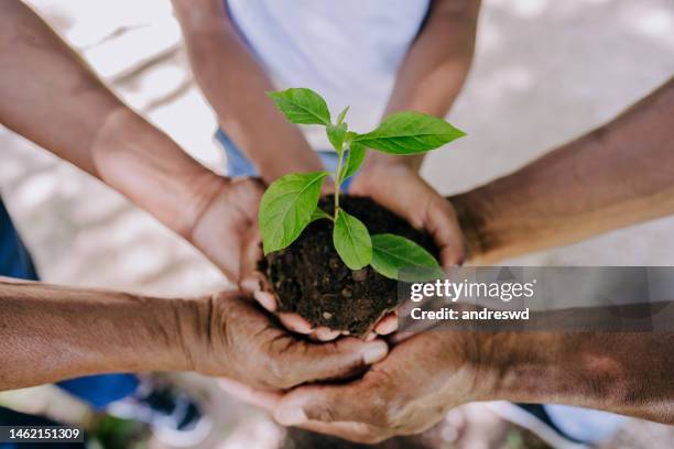 più mani che tengono una pianta - earthday foto e immagini stock