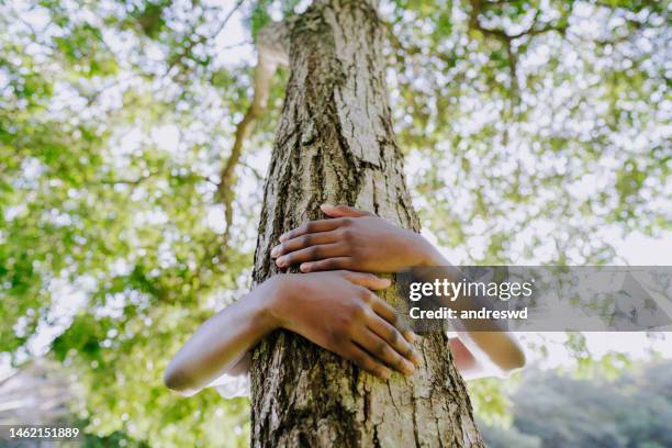 mani abbracciare albero - earthday foto e immagini stock