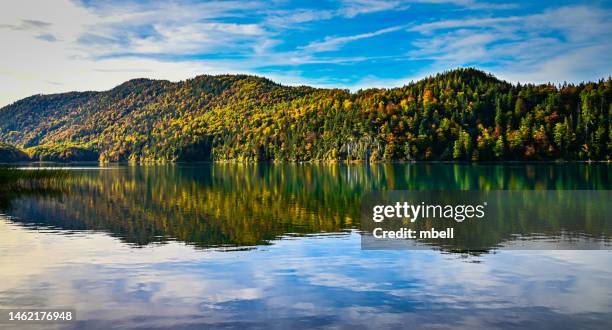 panorama view of the fall foilage on the allgäu alps around alpsee - schwangau germany - schwangau stock pictures, royalty-free photos & images