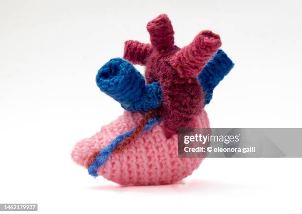human heart artifact - human joint foto e immagini stock