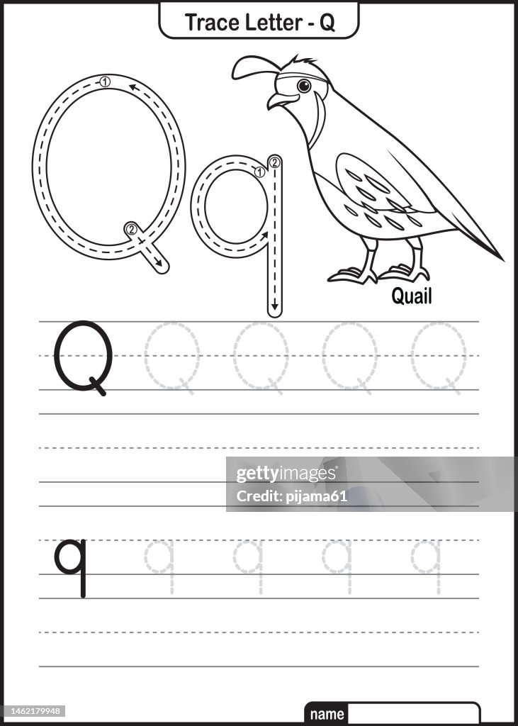 Hoja de trabajo preescolar de la letra A a la Z de la traza del alfabeto con la letra Q Quail Pro Vector