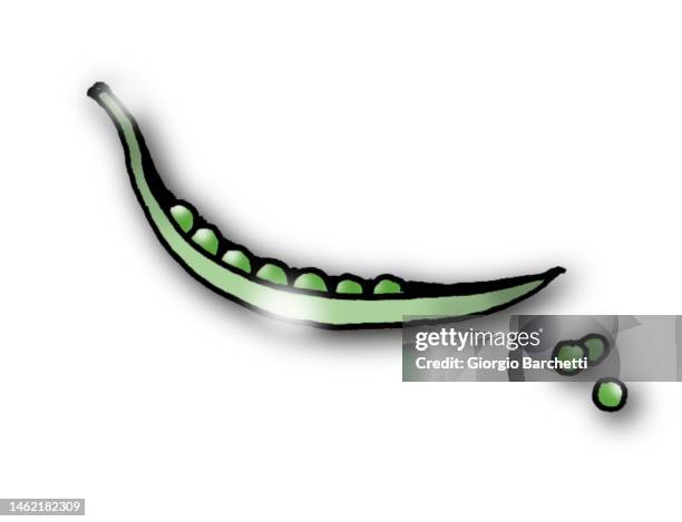 green beans - beans isolated stock illustrations