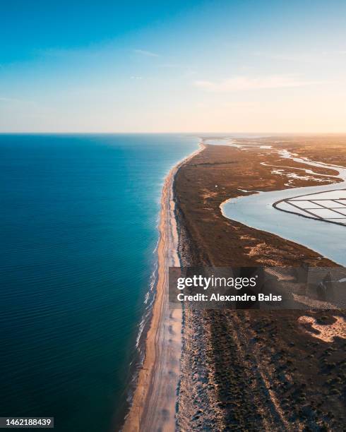 tavira island - tavira stock pictures, royalty-free photos & images