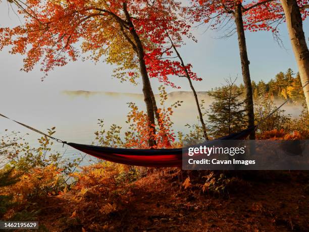Sebec Lake Rocks Sebec Lake Maine Photos and Premium High Res Pictures - Getty Images