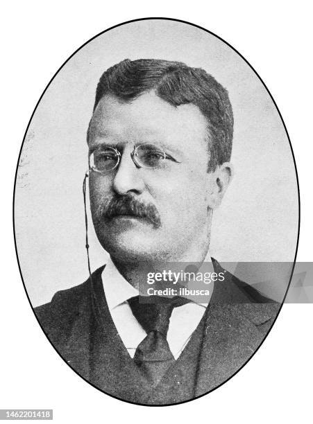 ilustrações, clipart, desenhos animados e ícones de retrato de notáveis nova-iorquinos: theodore roosevelt - theodore roosevelt us president