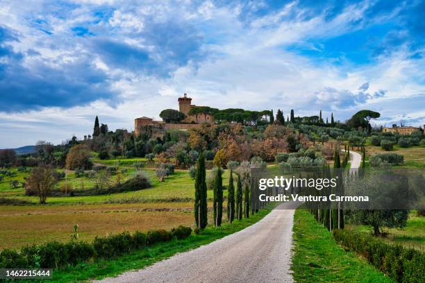 val d'orcia in tuscany, italy - cypress stock pictures, royalty-free photos & images