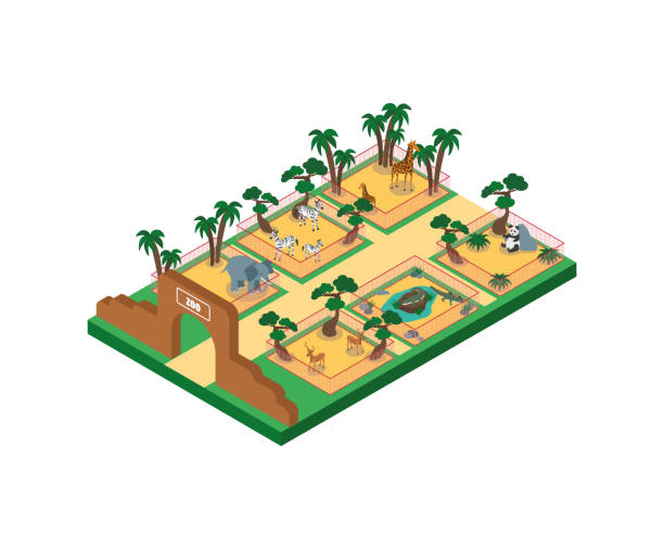 zoo isometric vector - zoo art stock illustrations
