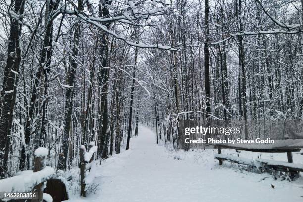 entrance of forest path in winter - whitby ontario canada stock pictures, royalty-free photos & images