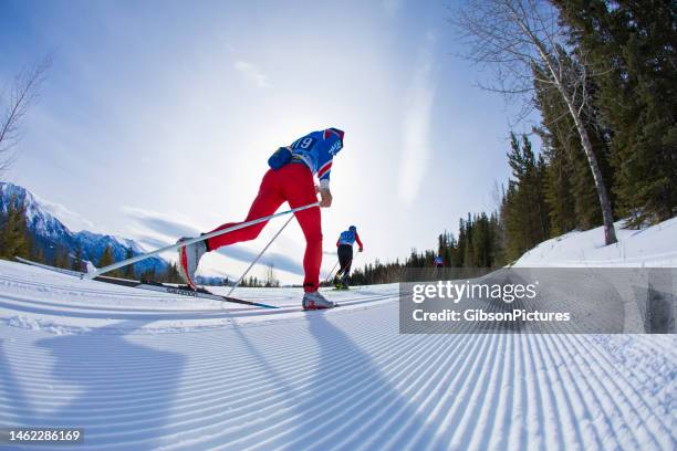 carrera de esquí de fondo de larga distancia - esquíes de fondo fotografías e imágenes de stock