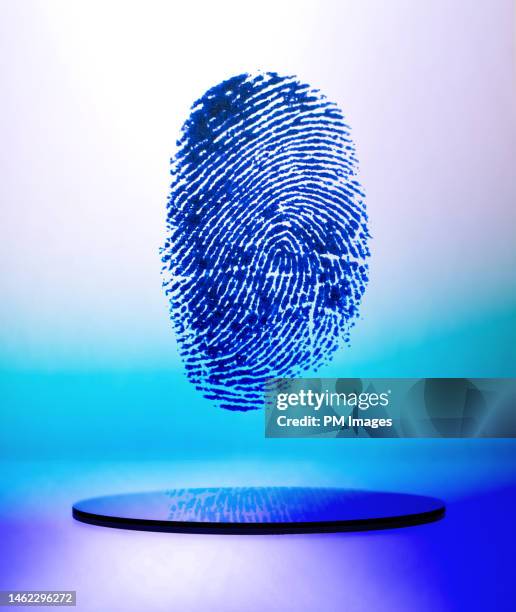 Finger Pin Fingerprint Detector Photos et images de collection - Getty Images