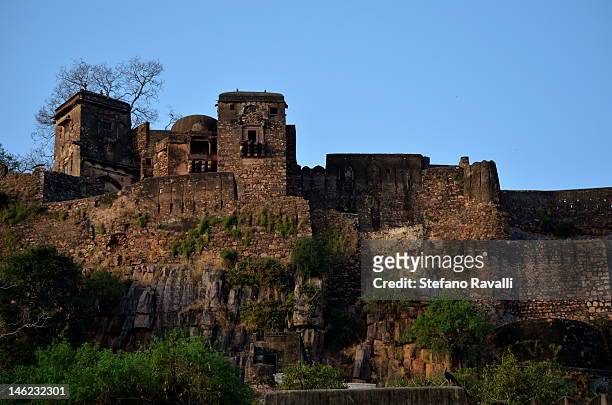 ranthambore fort - ranthambore fort stock pictures, royalty-free photos & images