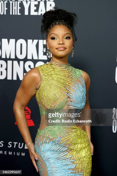 Halle Bailey attends MusiCares Persons of the Year Honoring Berry Gordy and Smokey Robinson at Los Angeles Convention Center on February 03, 2023 in...