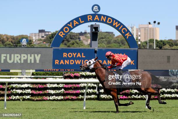 Brenton Avdulla riding Sonora wins Race 5 Congratulations Sam and David Handicap during Sydney Racing at Royal Randwick Racecourse on February 04,...
