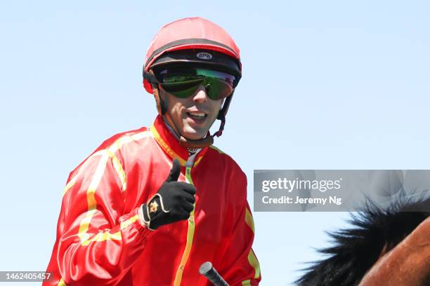 96 Sonora Racecourse Stock Photos, High-Res Pictures, and Images ...