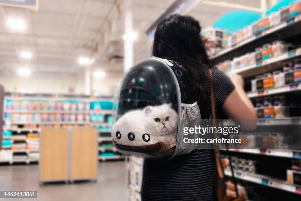 lady at the store with kitten -  cat in pet backpack - cat food - wide angle - pet food stock pictures, royalty-free photos & images
