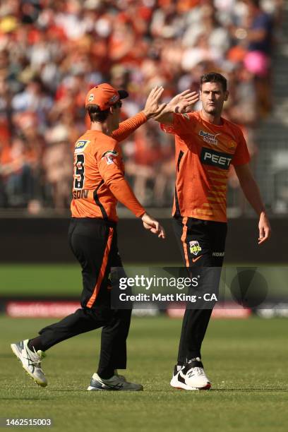 David Payne of the Scorchers celebrates after taking the wicket of Josh Brown of the Heat during the Men's Big Bash League Final match between the...