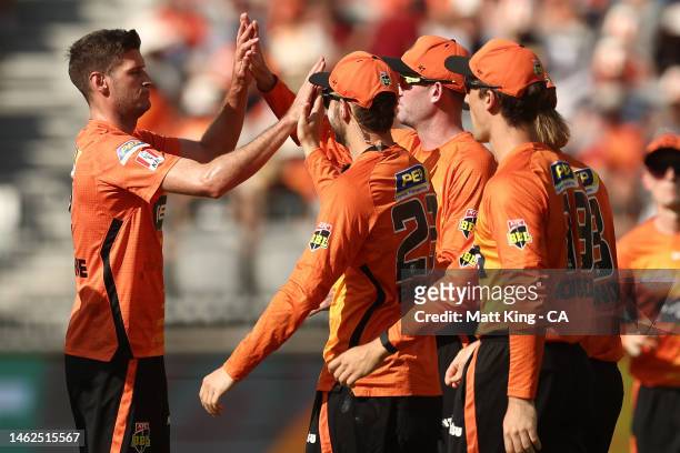 David Payne of the Scorchers celebrates with teammates after taking the wicket of Josh Brown of the Heat during the Men's Big Bash League Final match...