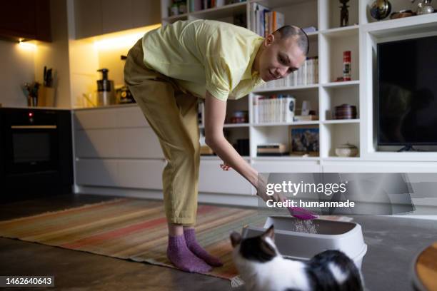 young caucasian woman with bold head cleaning her cat's litter box - cat litter stock pictures, royalty-free photos & images