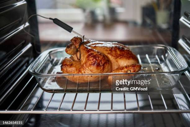 https://media.gettyimages.com/id/1462654515/photo/food-safety-roasting-chicken-in-the-oven-with-digital-thermometer.jpg?s=612x612&w=gi&k=20&c=WUKb4Xk3c6XnpIoOZbmng4HGKStZagiNQvTNF3B8Pxo=