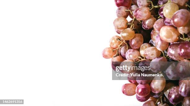 bunches of fresh ripe red grapes. red wine grapes. - table vin stock-fotos und bilder
