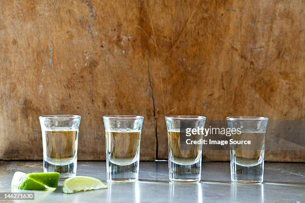 row of tequila shots - tequila foto e immagini stock
