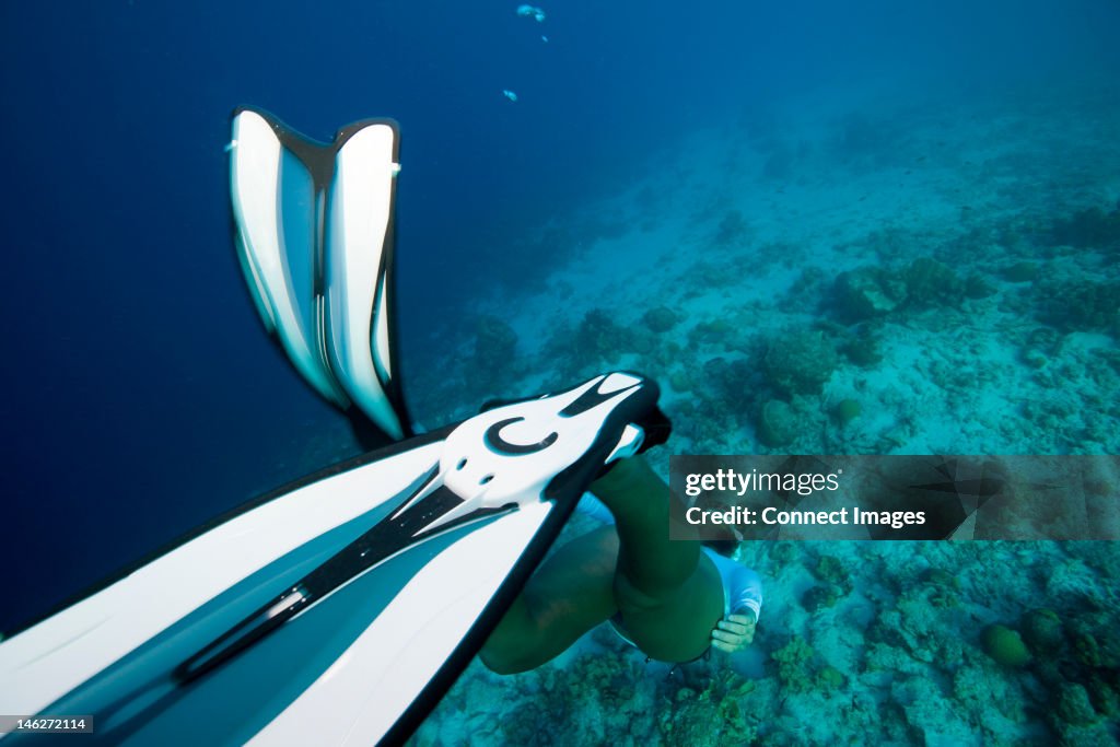 Freediver diving to bottom