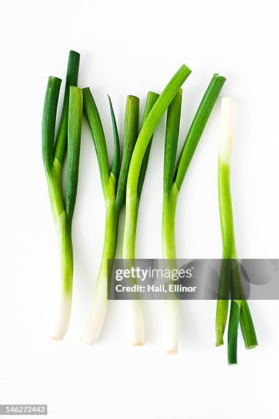 studio shot of fresh leek - alho francês imagens e fotografias de stock