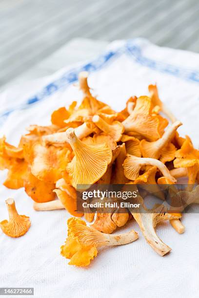 close up of chanterelle mushrooms on napkin - cantharellus cibarius stock pictures, royalty-free photos & images