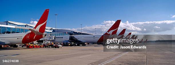 a row of jet airplanes parked at a terminal to collect passengers. - aéroport kingsford smith photos et images de collection