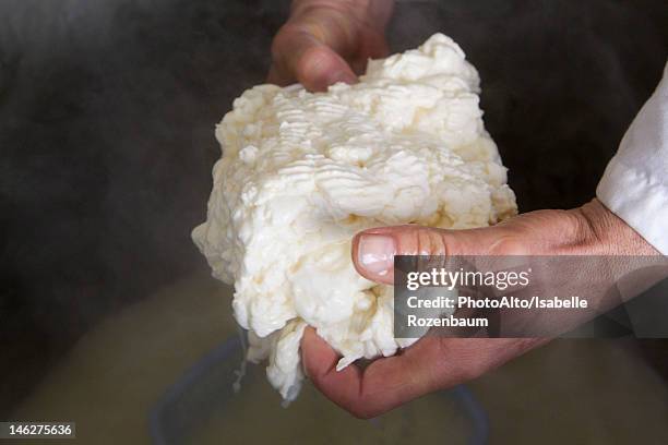 sheep's milk ricotta cheese - cheese maker stock pictures, royalty-free photos & images