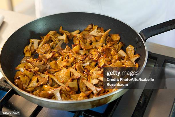 cooking chanterelle - cantharellus cibarius stock pictures, royalty-free photos & images