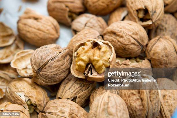 walnuts - nozes imagens e fotografias de stock