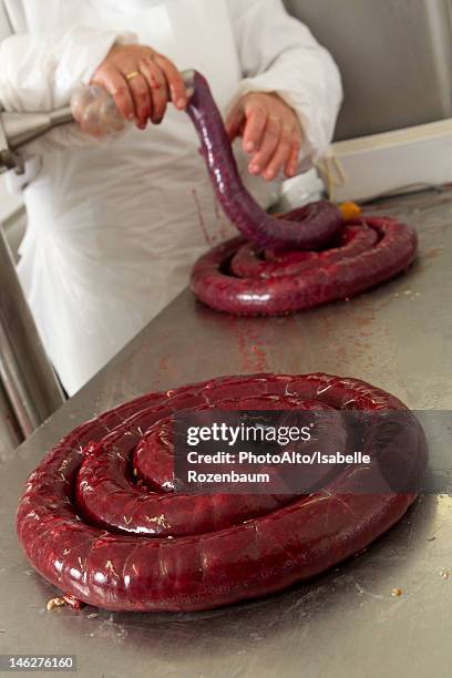 man making black pudding, cropped - black pudding foto e immagini stock