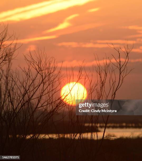 Nebraska Spring Background 1,407 Nebraska Spring Stock Photos, High-Res Pictures, and Images ...