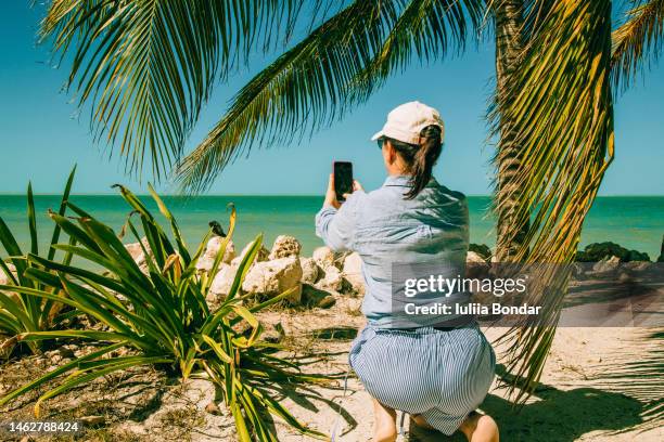 woman taking a photo with her phone of iguana - call of the wild 個照片及圖片檔