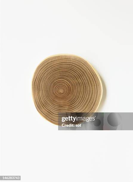 annual ring - tree rings stock pictures, royalty-free photos & images