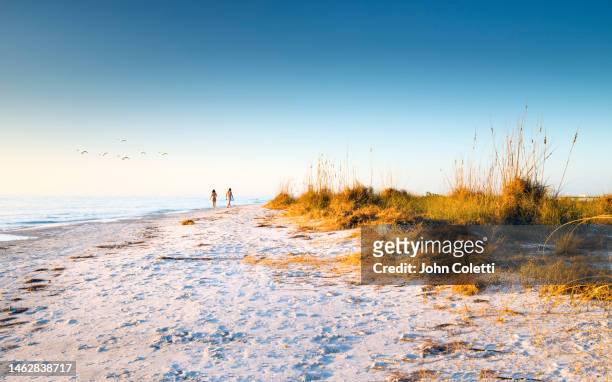 fort de soto park, north beach, florida - tampa stock pictures, royalty-free photos & images