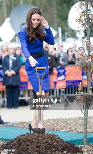 Britain's Catherine, Duchess of Cambridge prepares to plant a tree during a visit to The Treehouse in Ipswich, eastern England, on March 19, 2012....